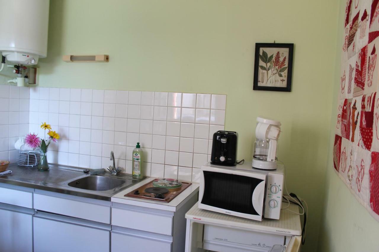 Appartement Val De Saone Seurre Kültér fotó